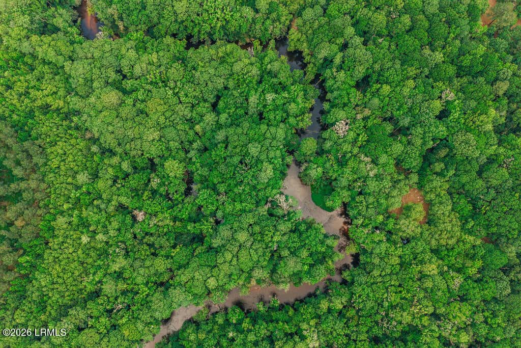 0 Parnel Road, Cope, SC 29038 — photo 9 of 13