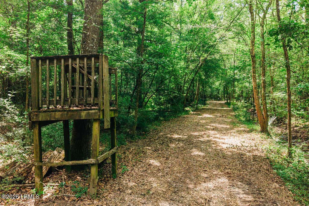 0 Parnel Road, Cope, SC 29038 — photo 11 of 13