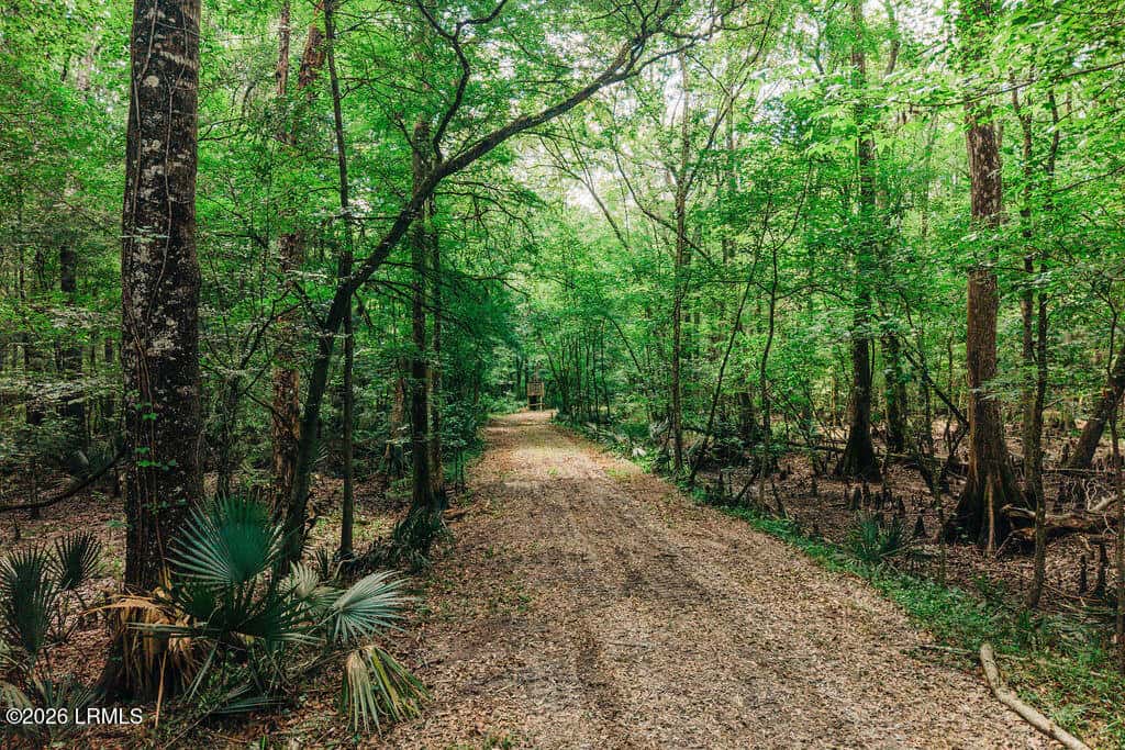 0 Parnel Road, Cope, SC 29038 — photo 12 of 13