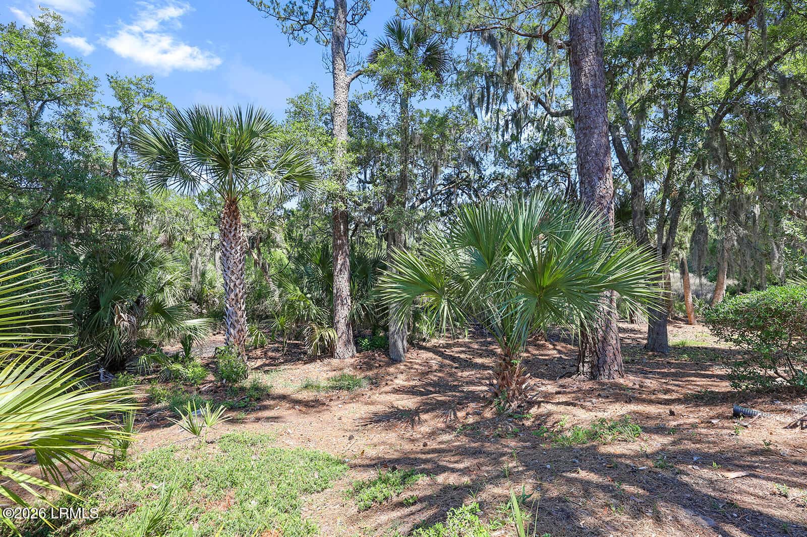 5 Devils Elbow Lane 5, Hilton Head Island, SC 29926 — photo 33 of 68