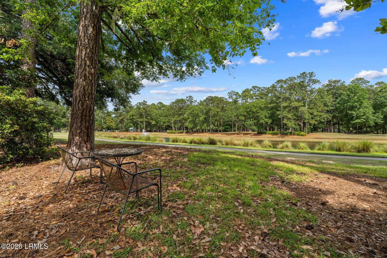 172 Sumter Square, Bluffton, SC 29910 — photo 45 of 68