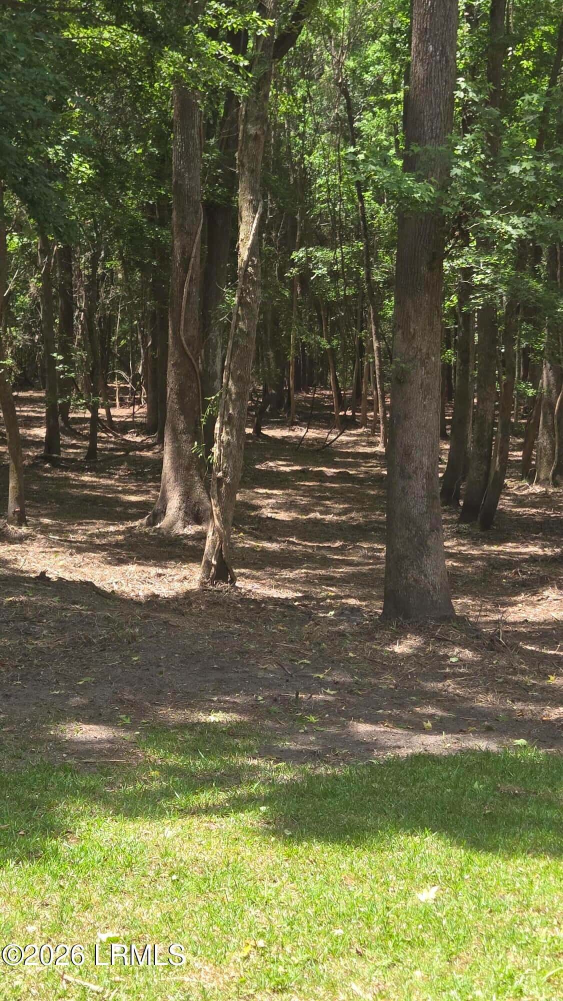 976 Sams Point Road, Beaufort, SC 29907 — photo 54 of 63