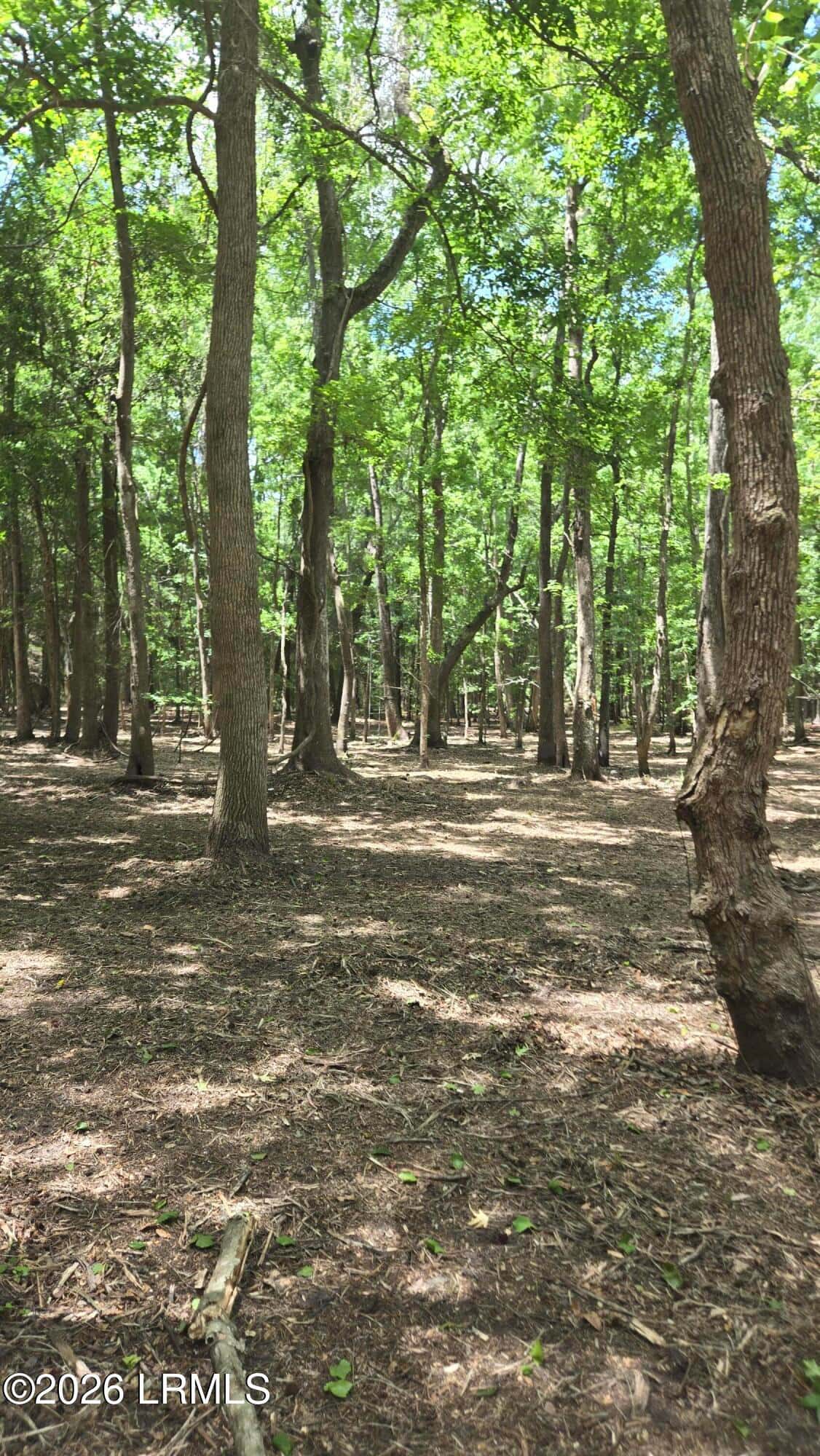 976 Sams Point Road, Beaufort, SC 29907 — photo 55 of 63