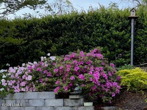 8 Royal Pointe Drive, Hilton Head Island, SC 29926 — photo 39 of 42