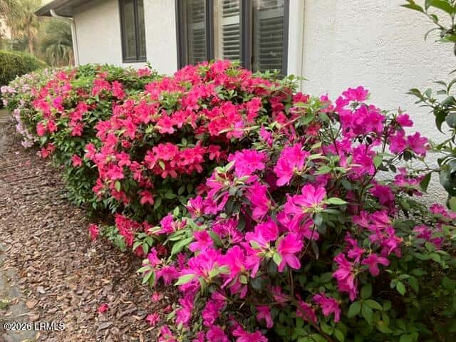 8 Royal Pointe Drive, Hilton Head Island, SC 29926 — photo 40 of 42