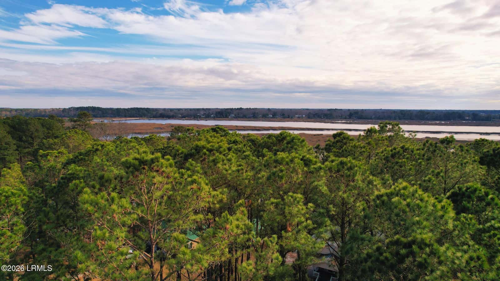 481 Paige Point Bluff, Seabrook, SC 29940 — photo 4 of 19