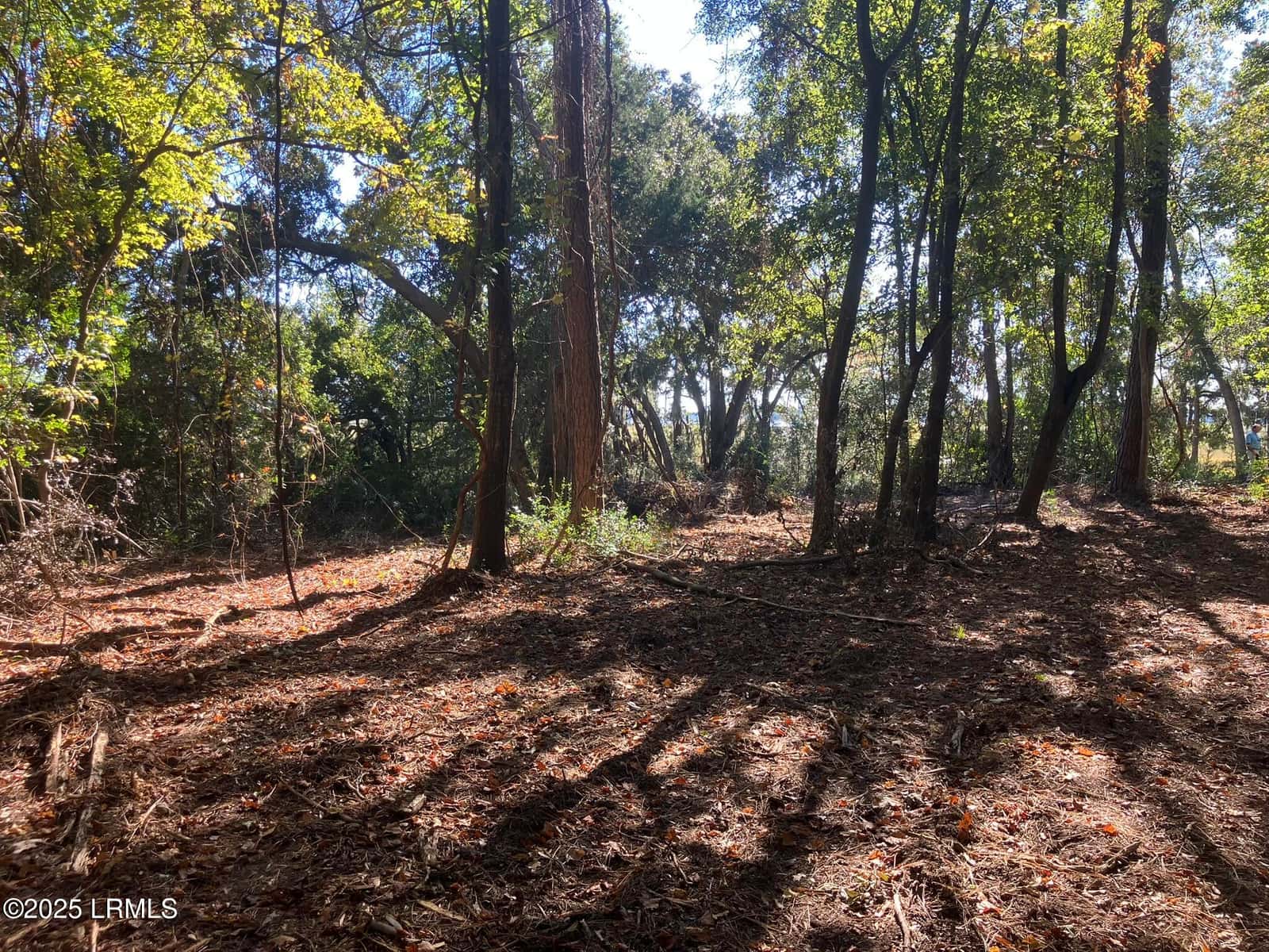 481 Paige Point Bluff, Seabrook, SC 29940 — photo 11 of 19