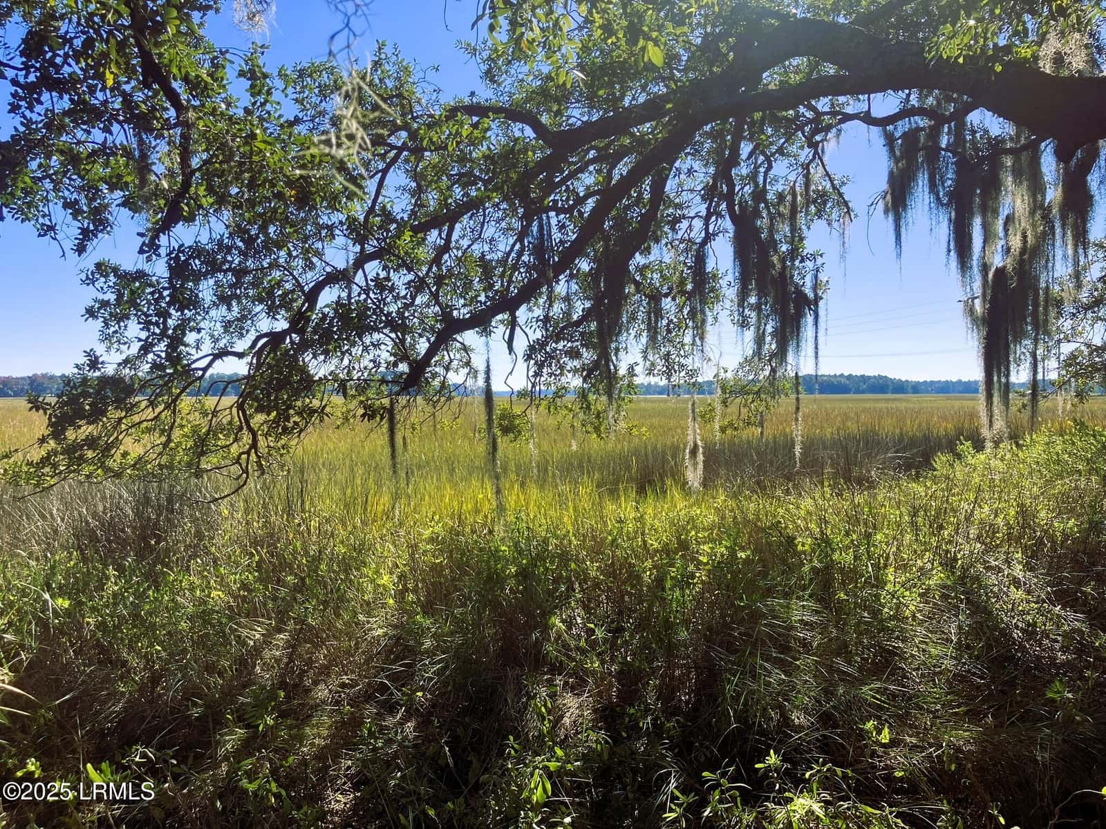 481 Paige Point Bluff, Seabrook, SC 29940 — photo 12 of 19