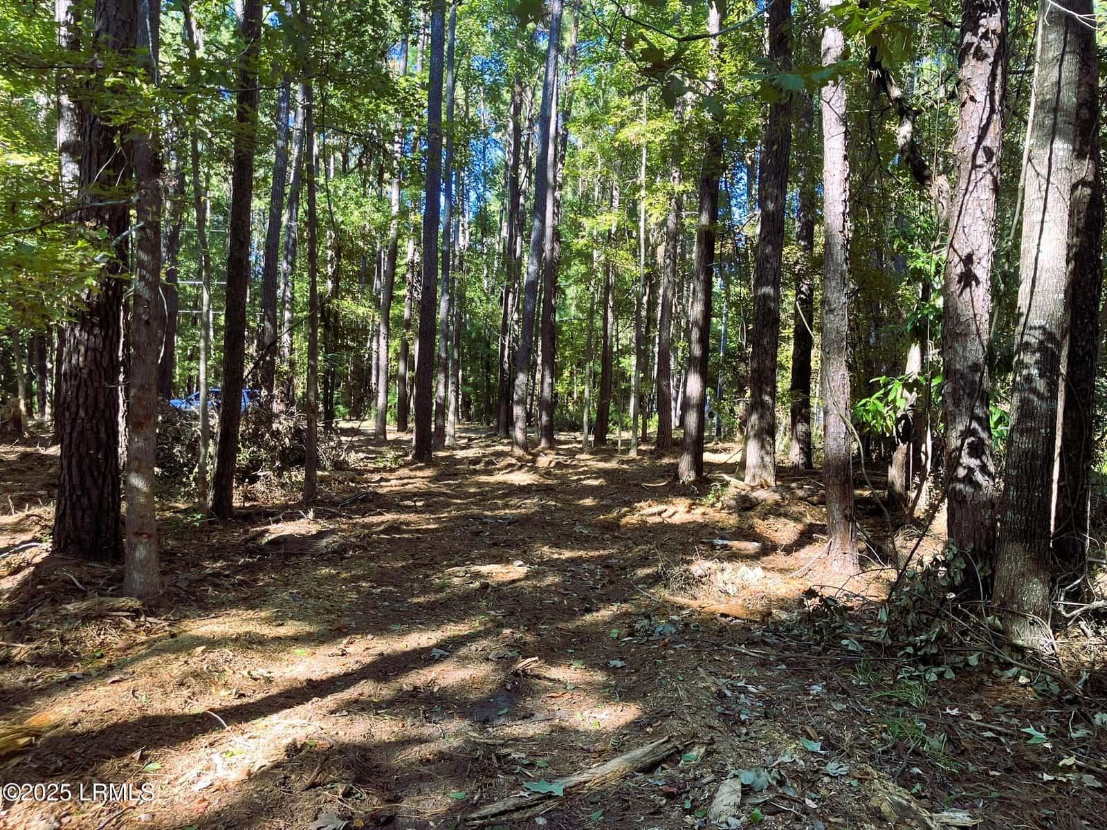 481 Paige Point Bluff, Seabrook, SC 29940 — photo 15 of 19