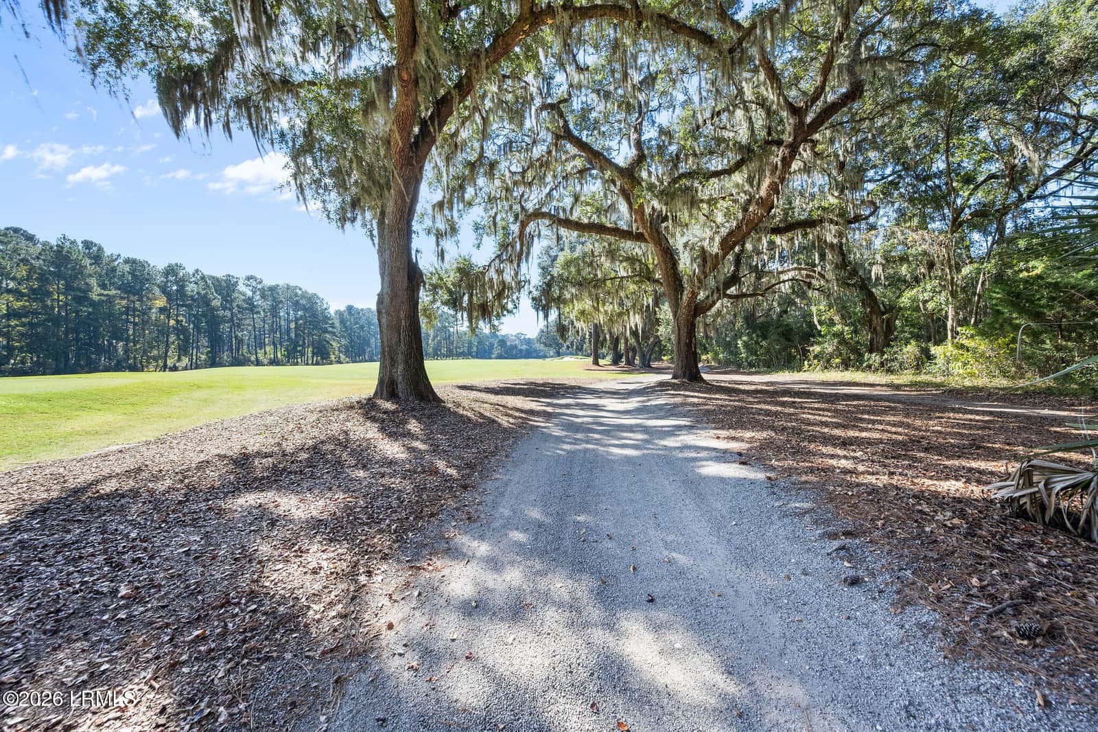 32 Bee Tree Drive, Okatie, SC 29909 — photo 89 of 100