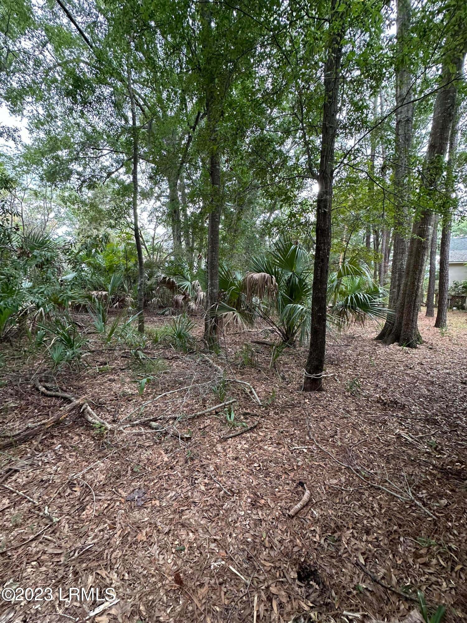 33 Winding Way, Lady's Island, SC 29907 — photo 18 of 19