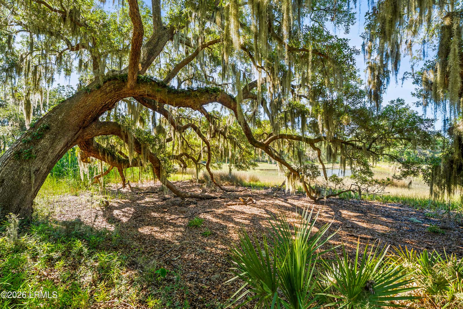 2255 Plantation Drive, Beaufort, SC 29902 — photo 47 of 54