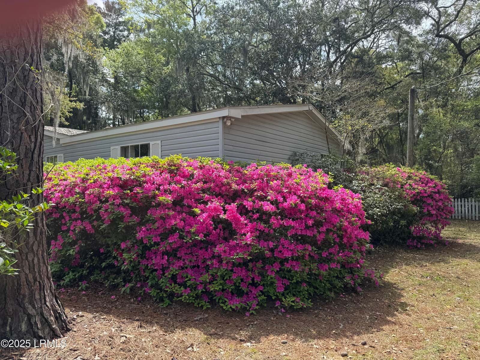 21 Mixon Road, St. Helena Island, SC 29920 — photo 3 of 29