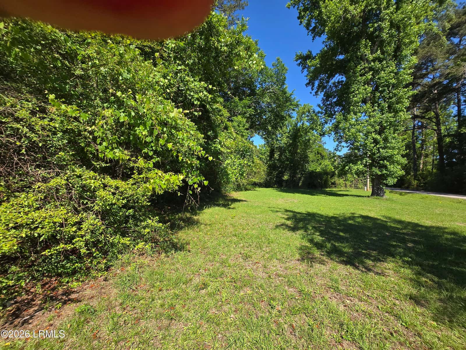 281 George Street, Bamberg, SC 29003 — photo 41 of 42