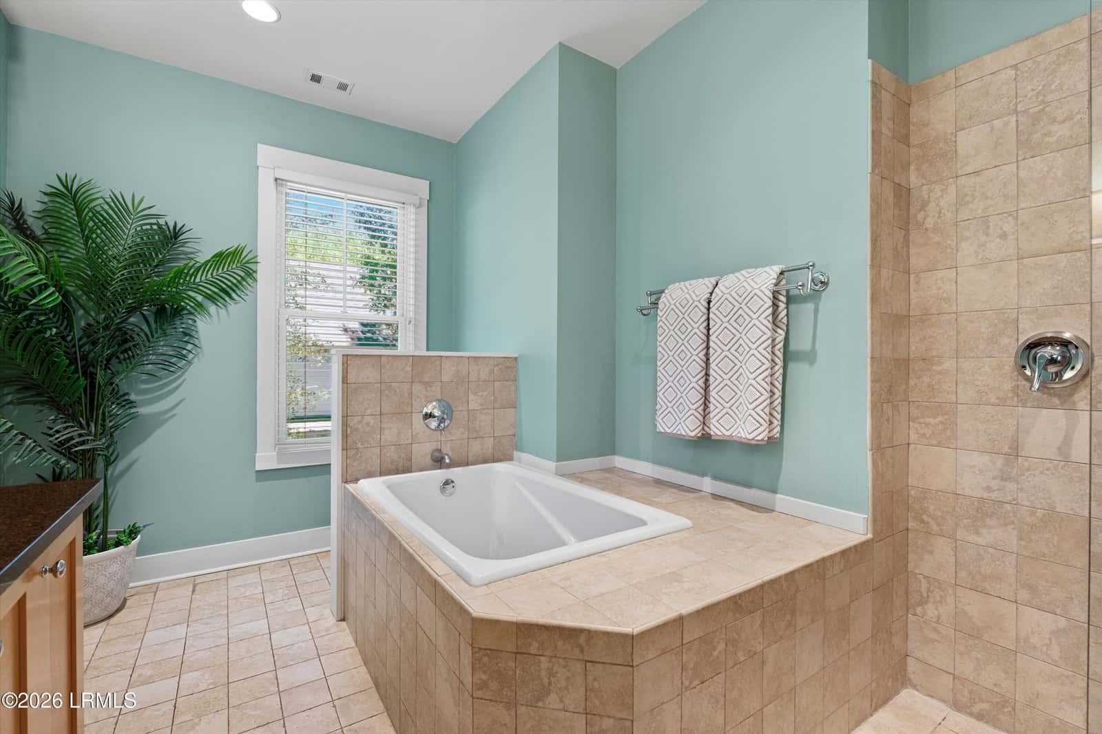 17 Hayek Street, Beaufort, SC 29907 — photo 20 of 42