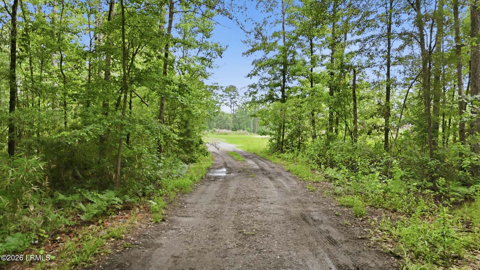0 State Road S-27-19 0, Ridgeland, SC 29936 — photo 3 of 20