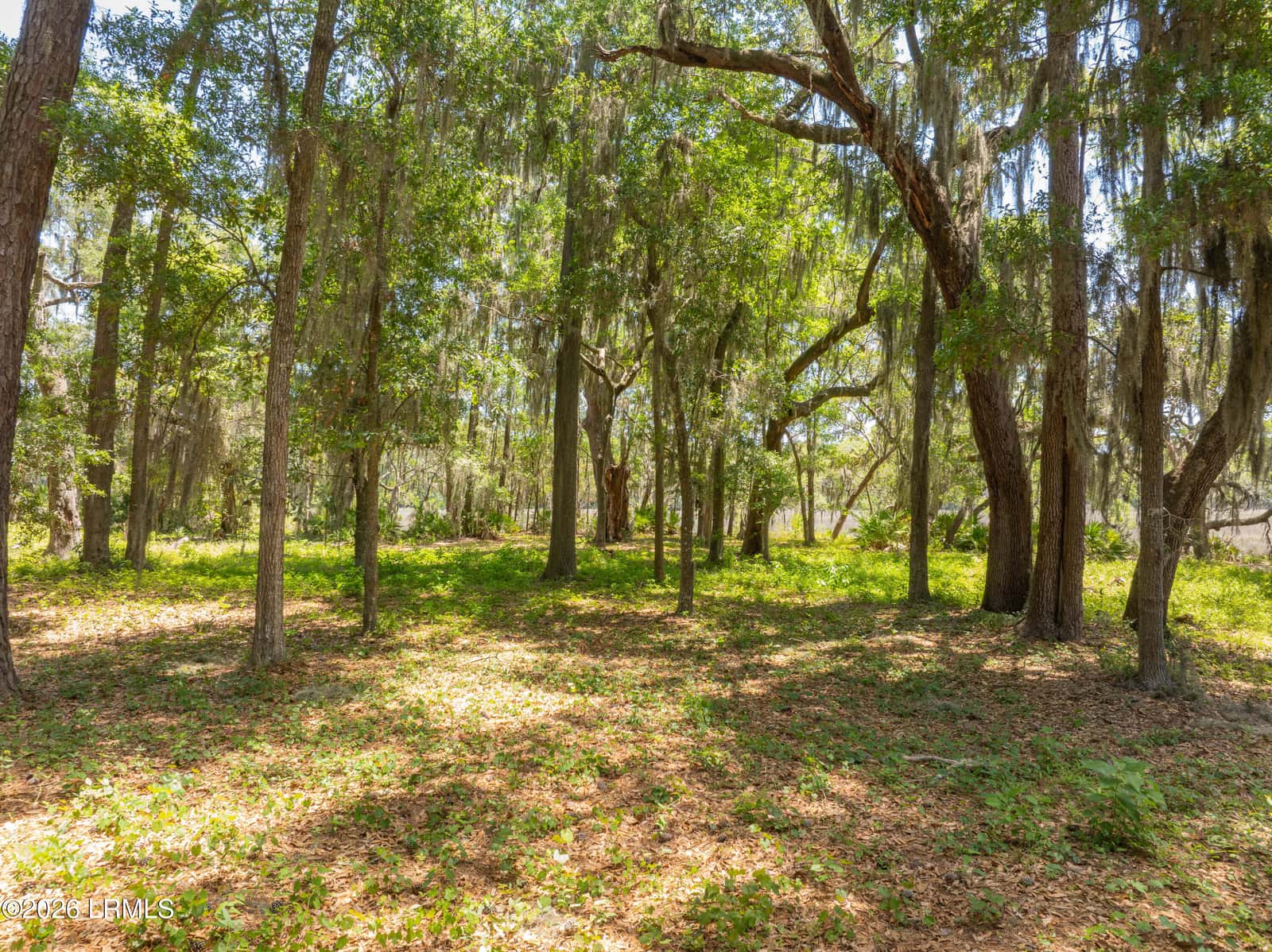 73 Bermuda Downs, St. Helena Island, SC 29920 — photo 27 of 66