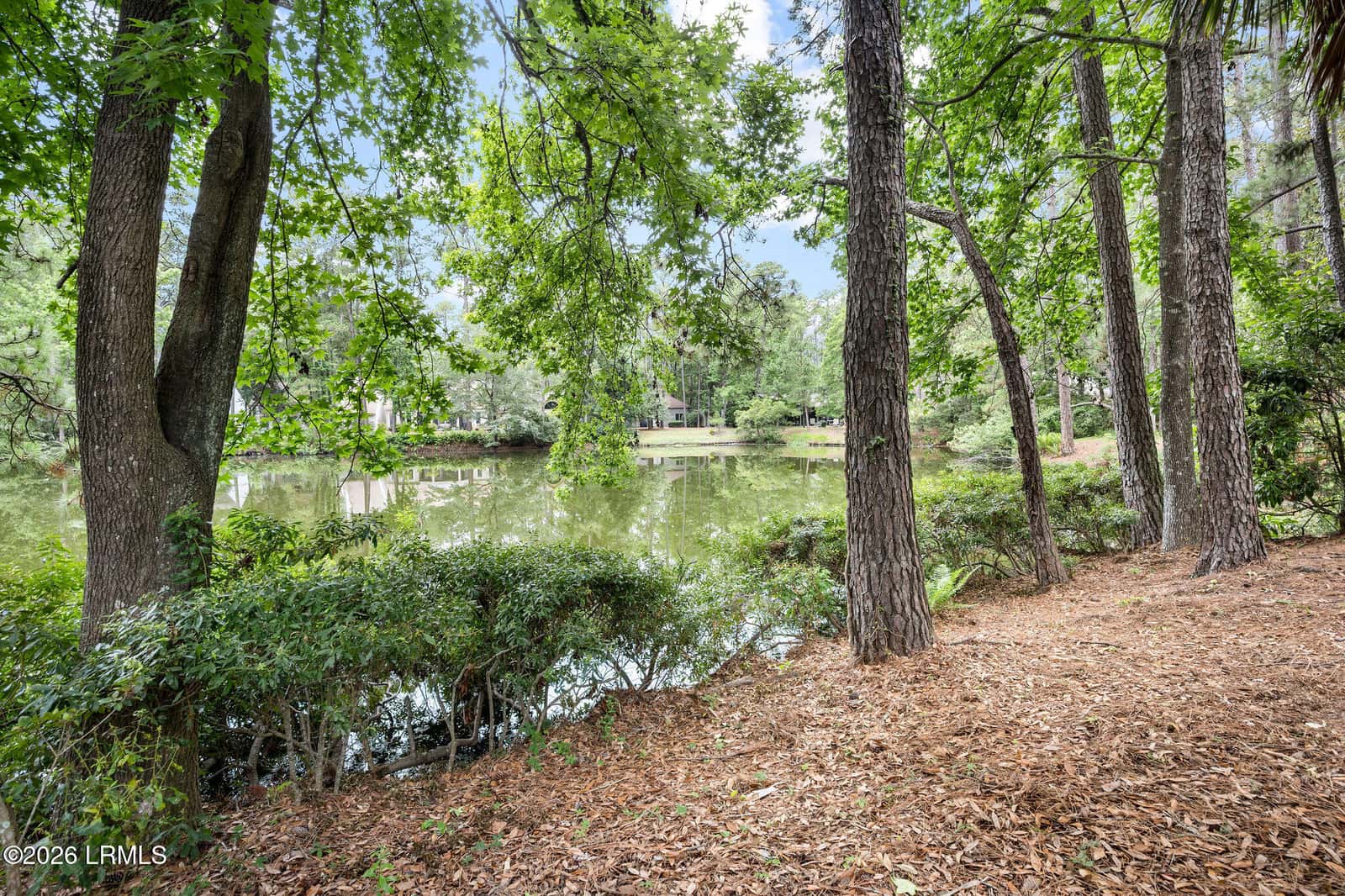 33 Victoria Drive, Hilton Head Island, SC 29926 — photo 25 of 57