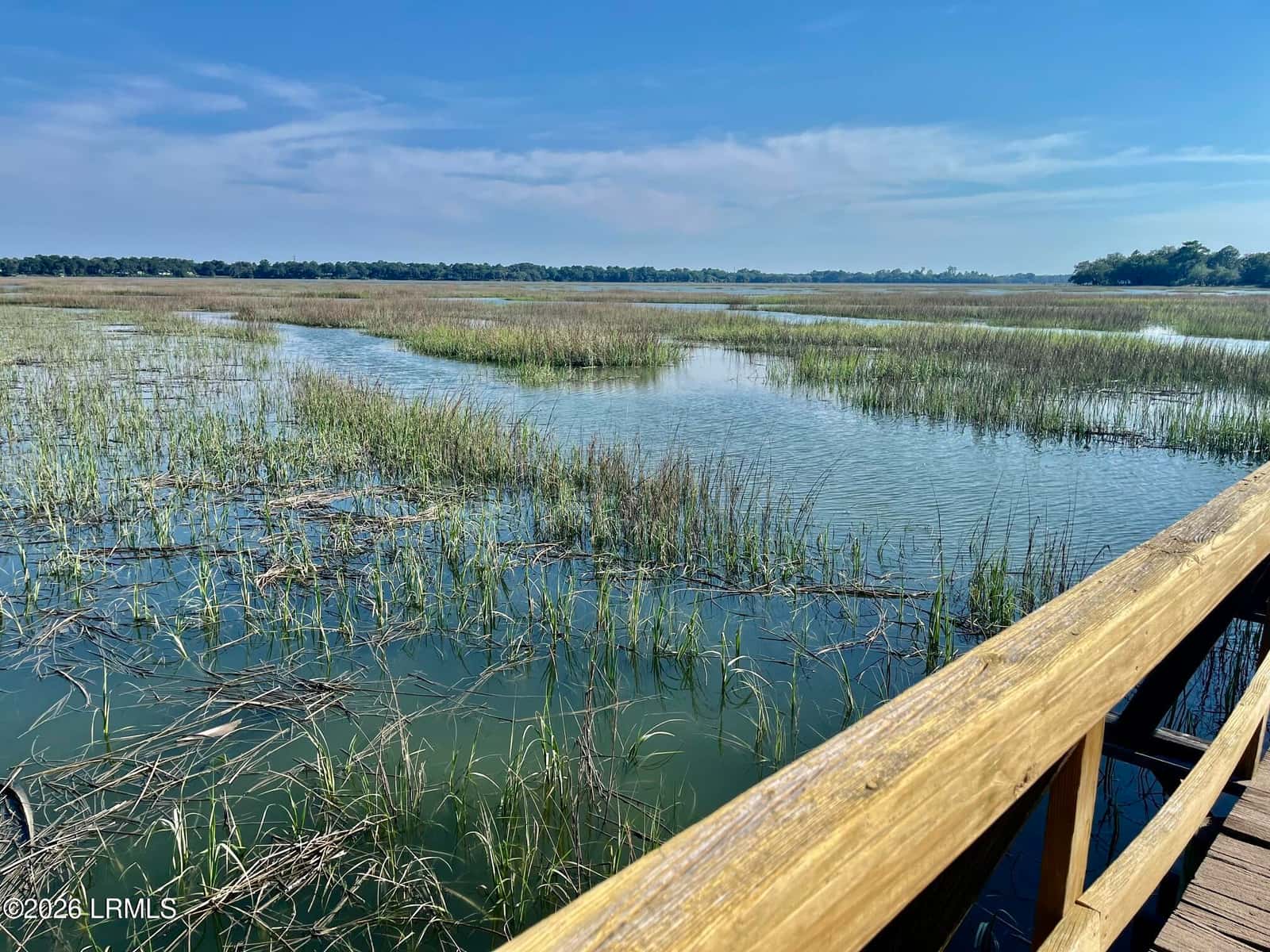 16 Riverview Drive, Beaufort, SC 29907 — photo 42 of 51