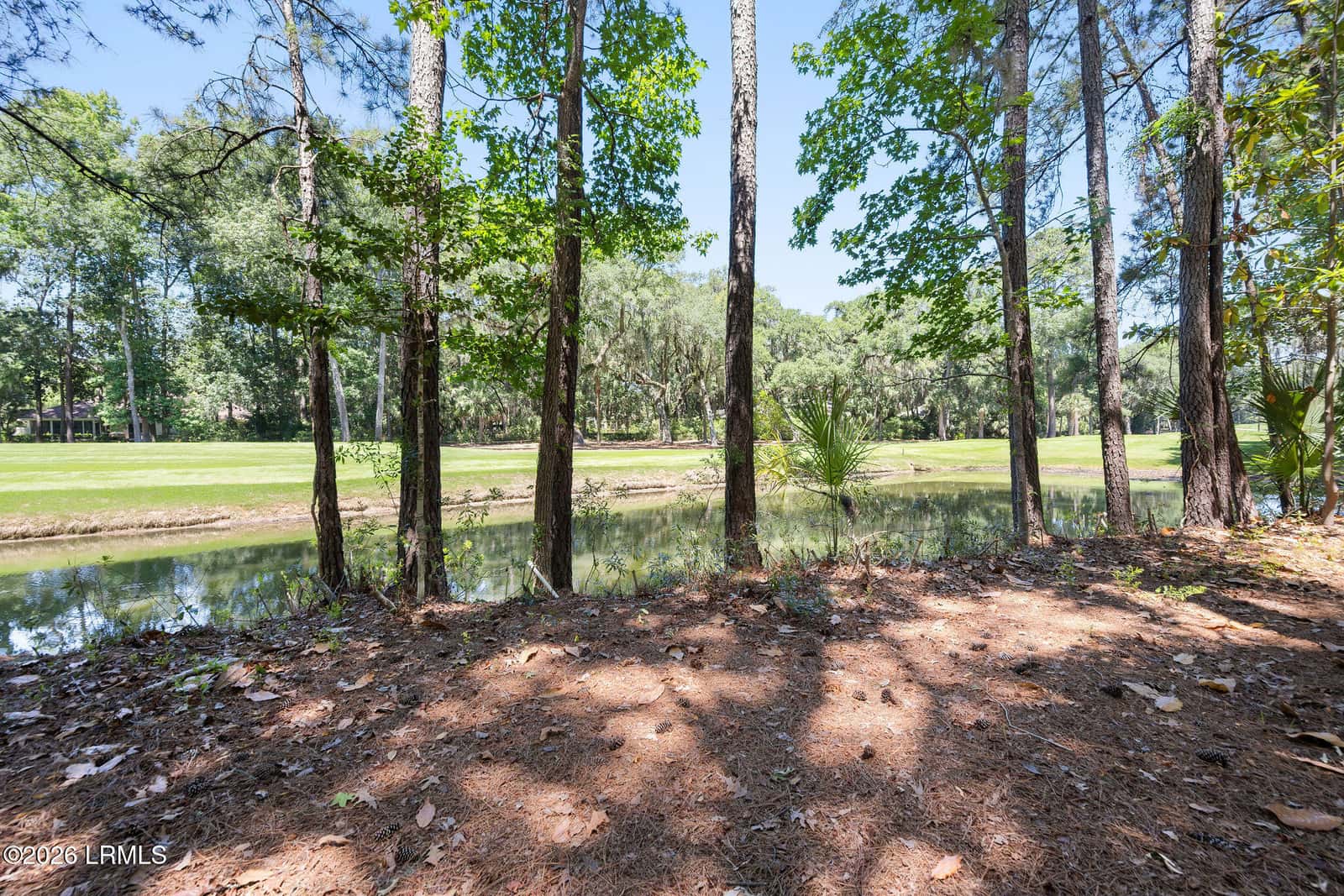 64 Osprey Circle, Okatie, SC 29909 — photo 44 of 61