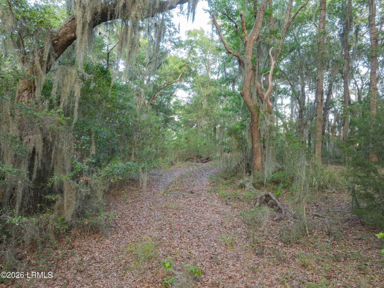 39 Creek House Lane, St. Helena Island, SC 29920 — photo 13 of 22