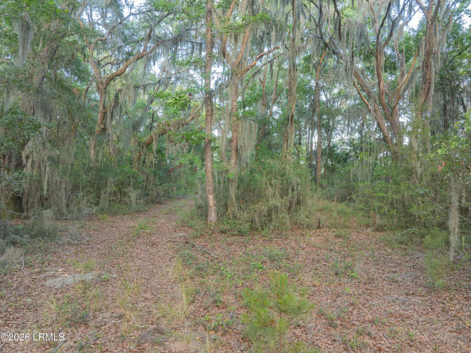 39 Creek House Lane, St. Helena Island, SC 29920 — photo 14 of 22