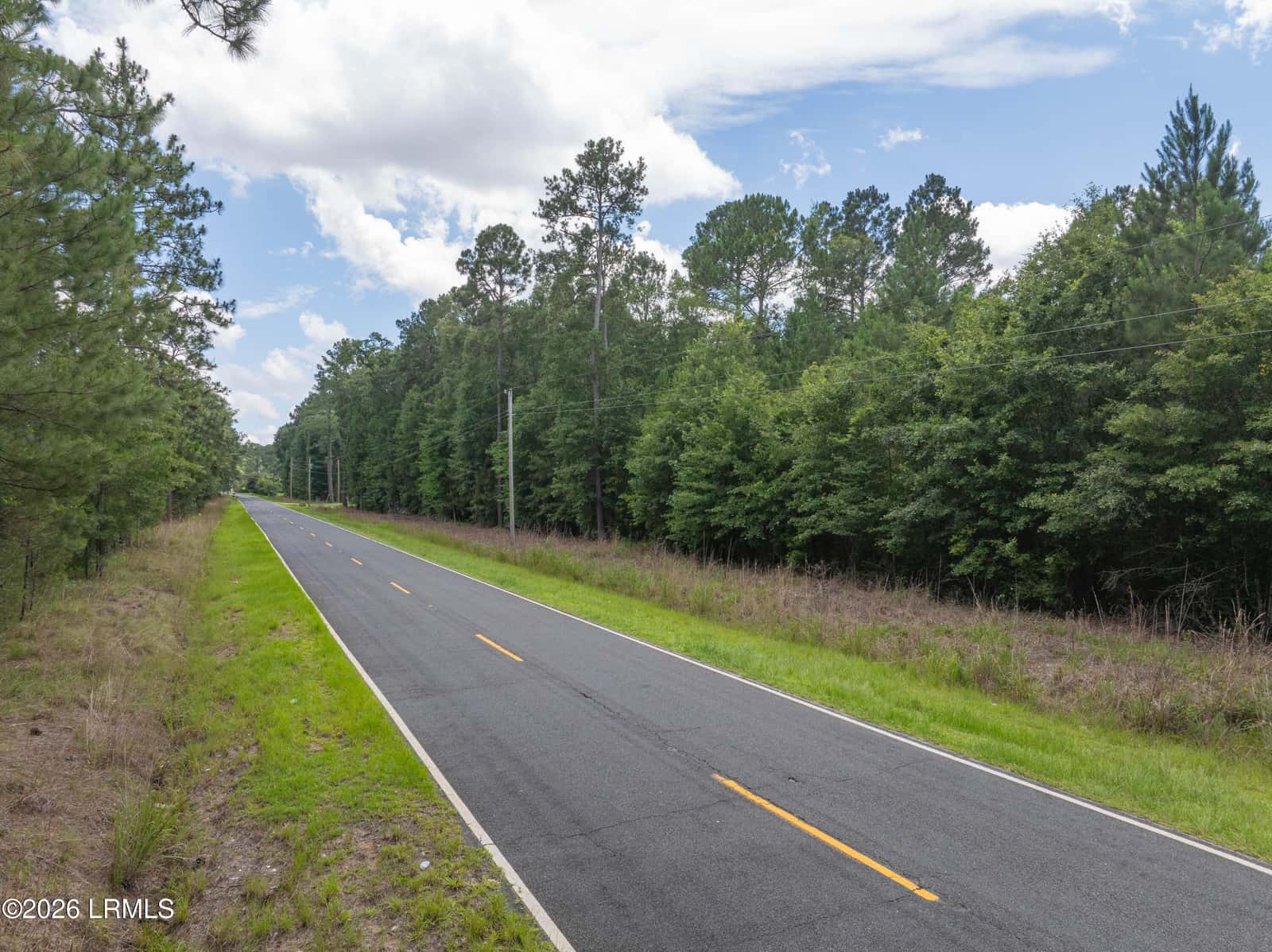 Tbd Purrysburg Road, Hardeeville, SC 29927 — photo 3 of 19