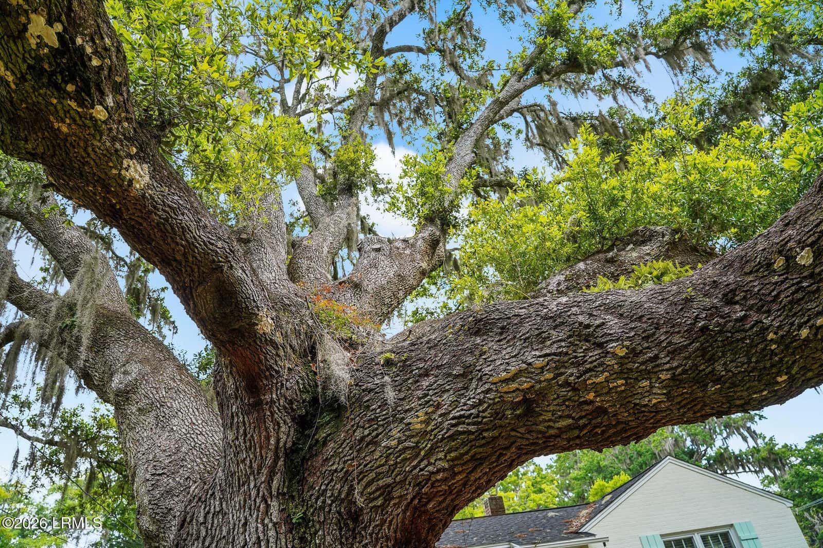 1119 Lafayette Street, Beaufort, SC 29902 — photo 38 of 45