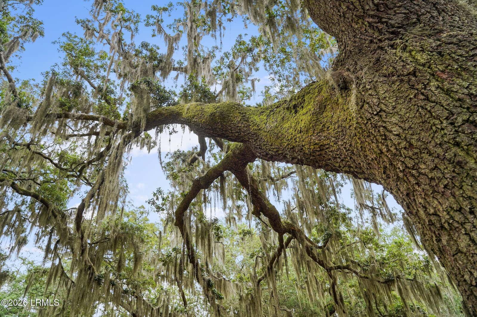 1119 Lafayette Street, Beaufort, SC 29902 — photo 45 of 45