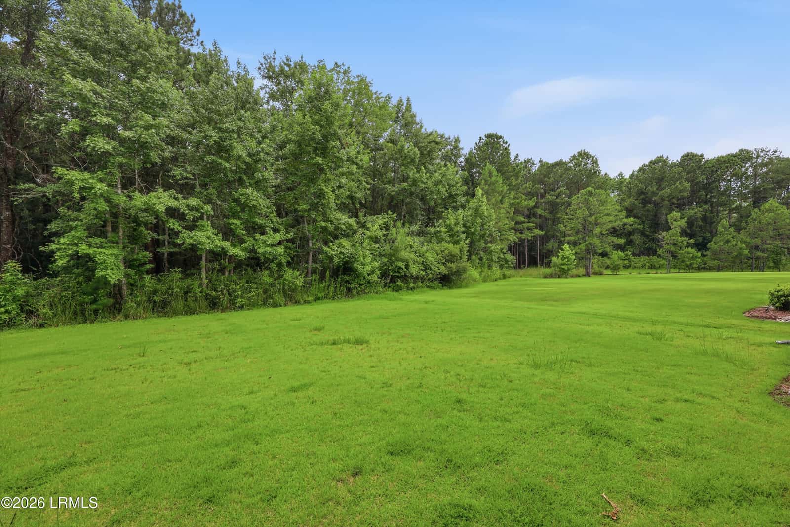 217 Juneberry Court, Hardeeville, SC 29927 — photo 37 of 70