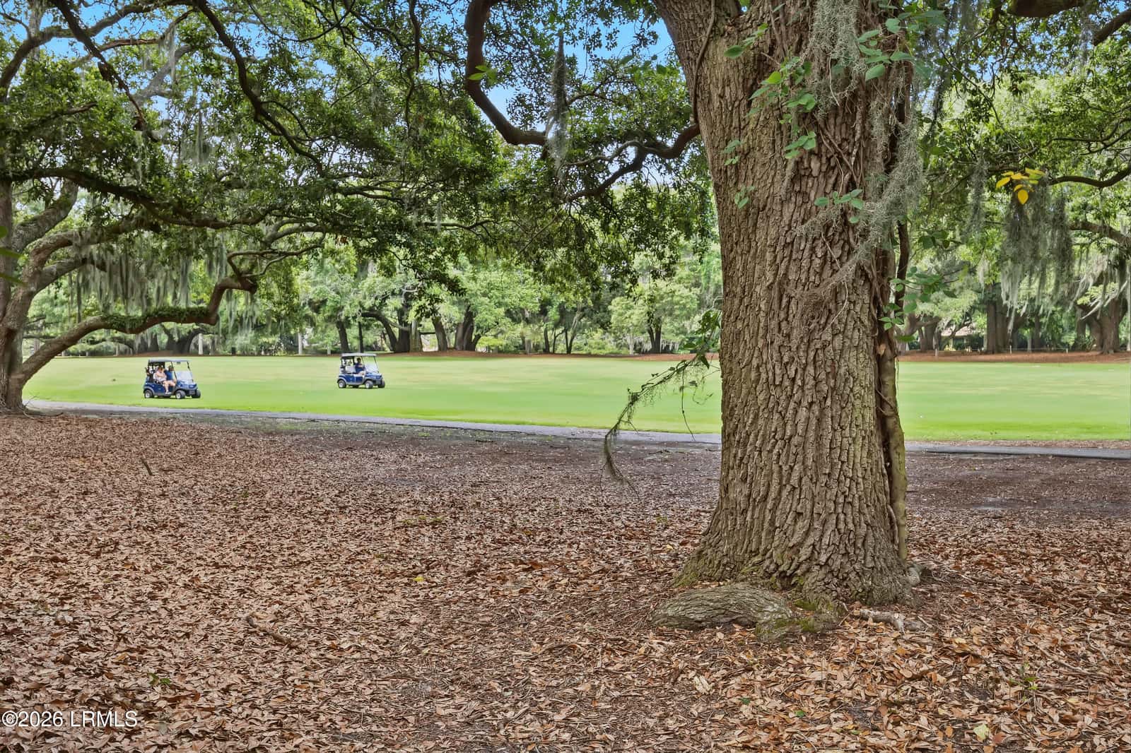 10 Robbers Row, Hilton Head Island, SC 29928 — photo 65 of 80