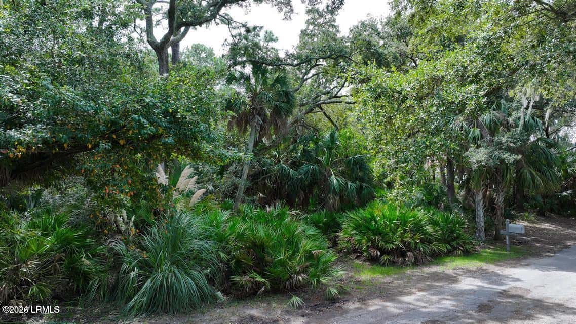 372 Pike Drive, Fripp Island, SC 29920 — photo 3 of 14