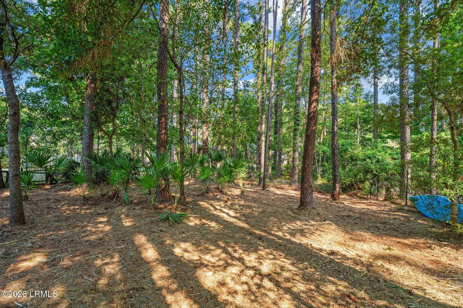 47 Heritage Lakes Drive, Bluffton, SC 29910 — photo 52 of 56