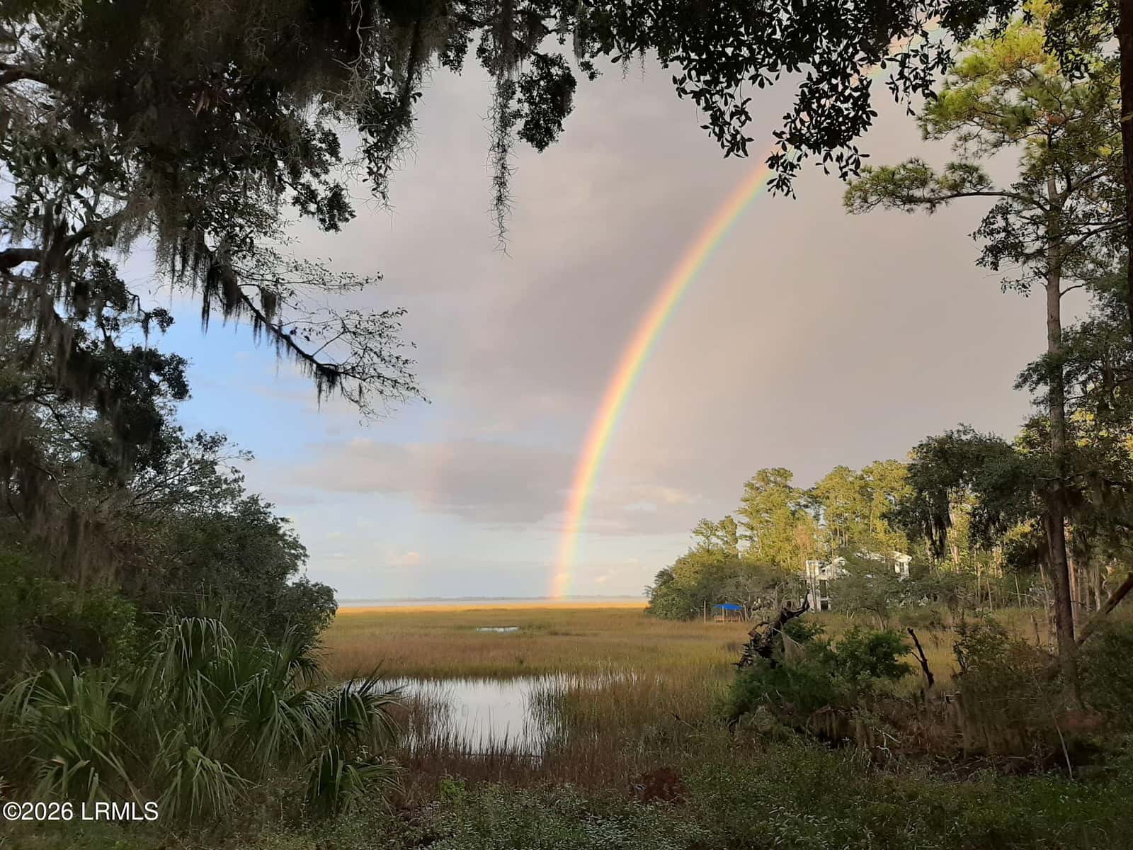 203 Black Skimmer Drive W, Beaufort, SC 29907 — photo 5 of 48