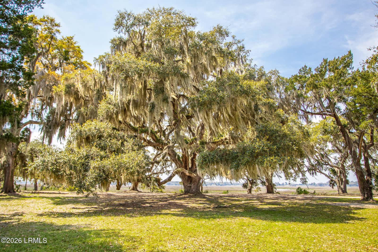 108 Whitehall Drive, Beaufort, SC 29907 — photo 30 of 31