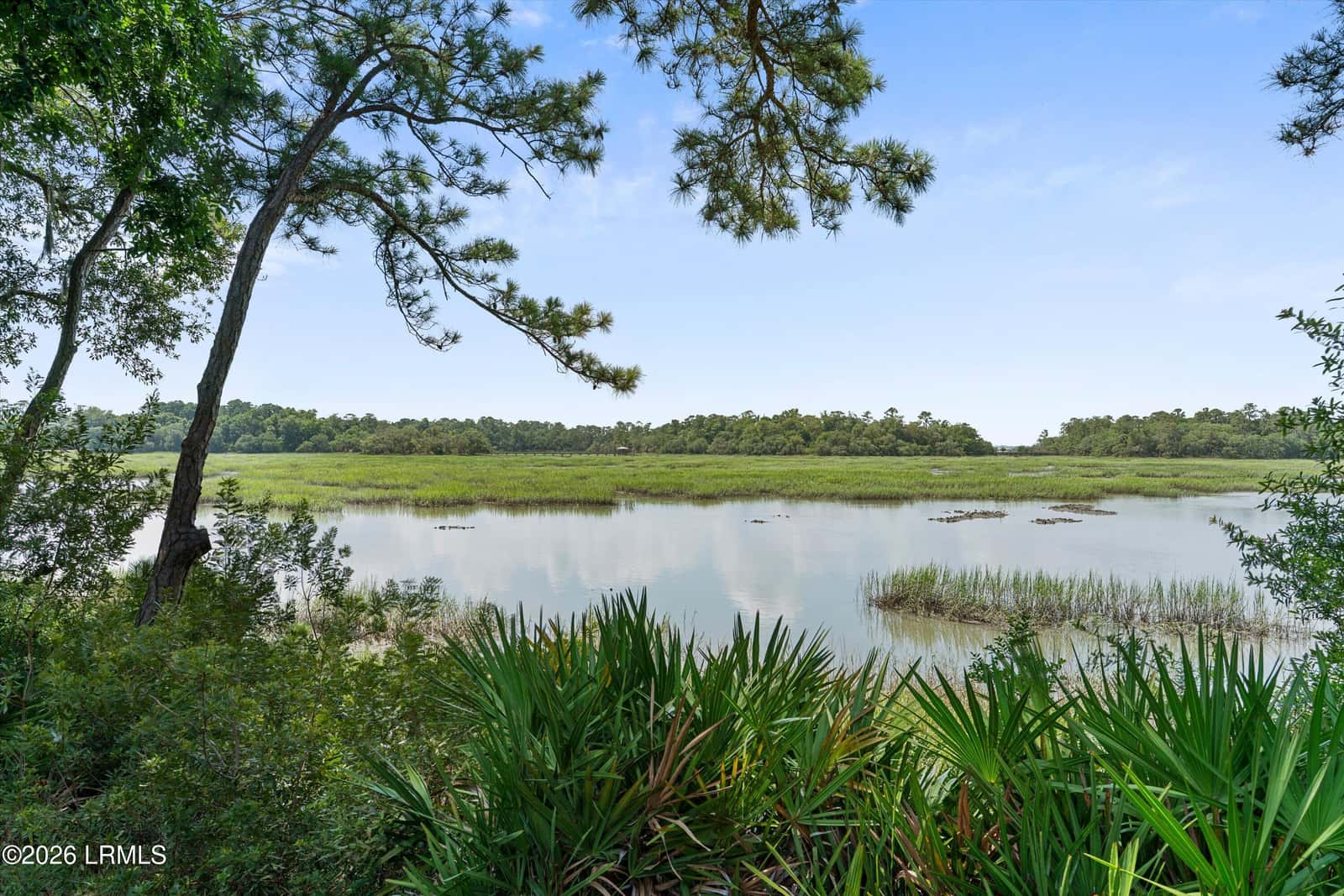 19 Ridge Road, Beaufort, SC 29907 — photo 7 of 66
