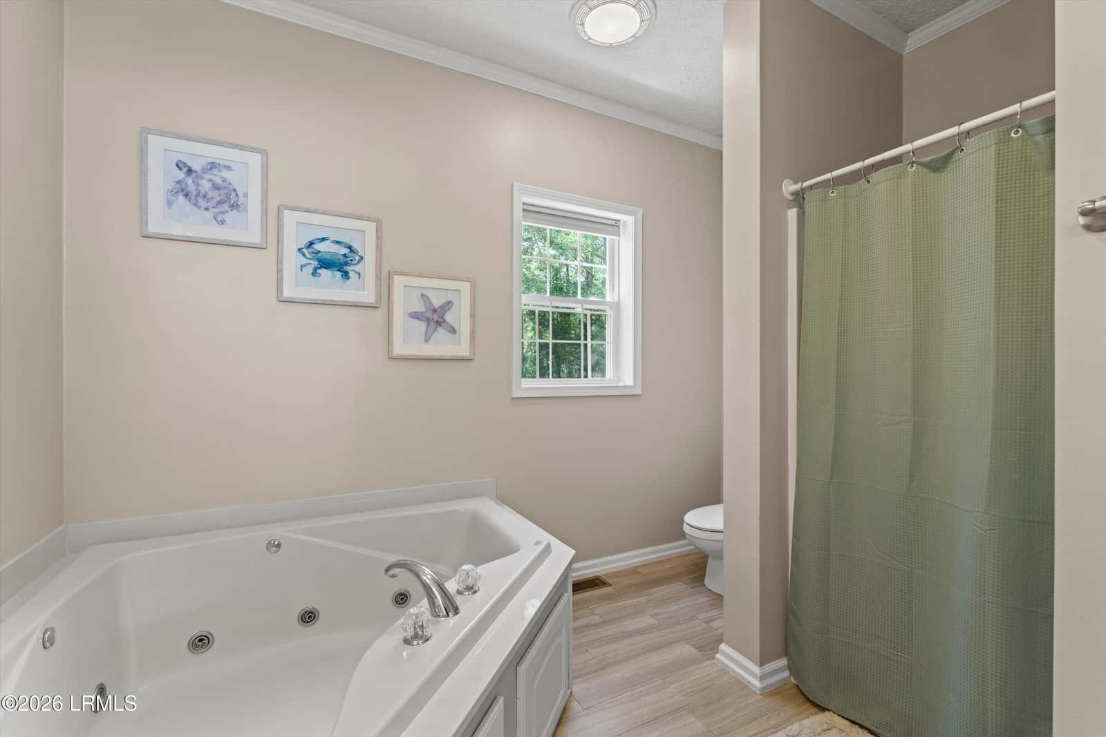 9 Lucerne Avenue, Beaufort, SC 29907 — photo 17 of 27