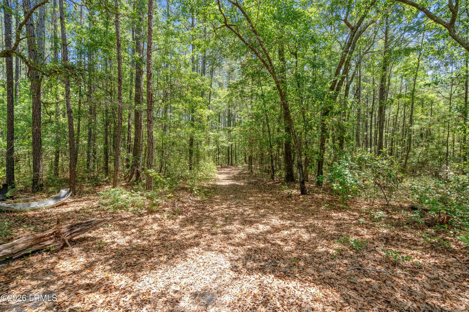 3958 Pineland Road, Varnville, SC 29944 — photo 45 of 55
