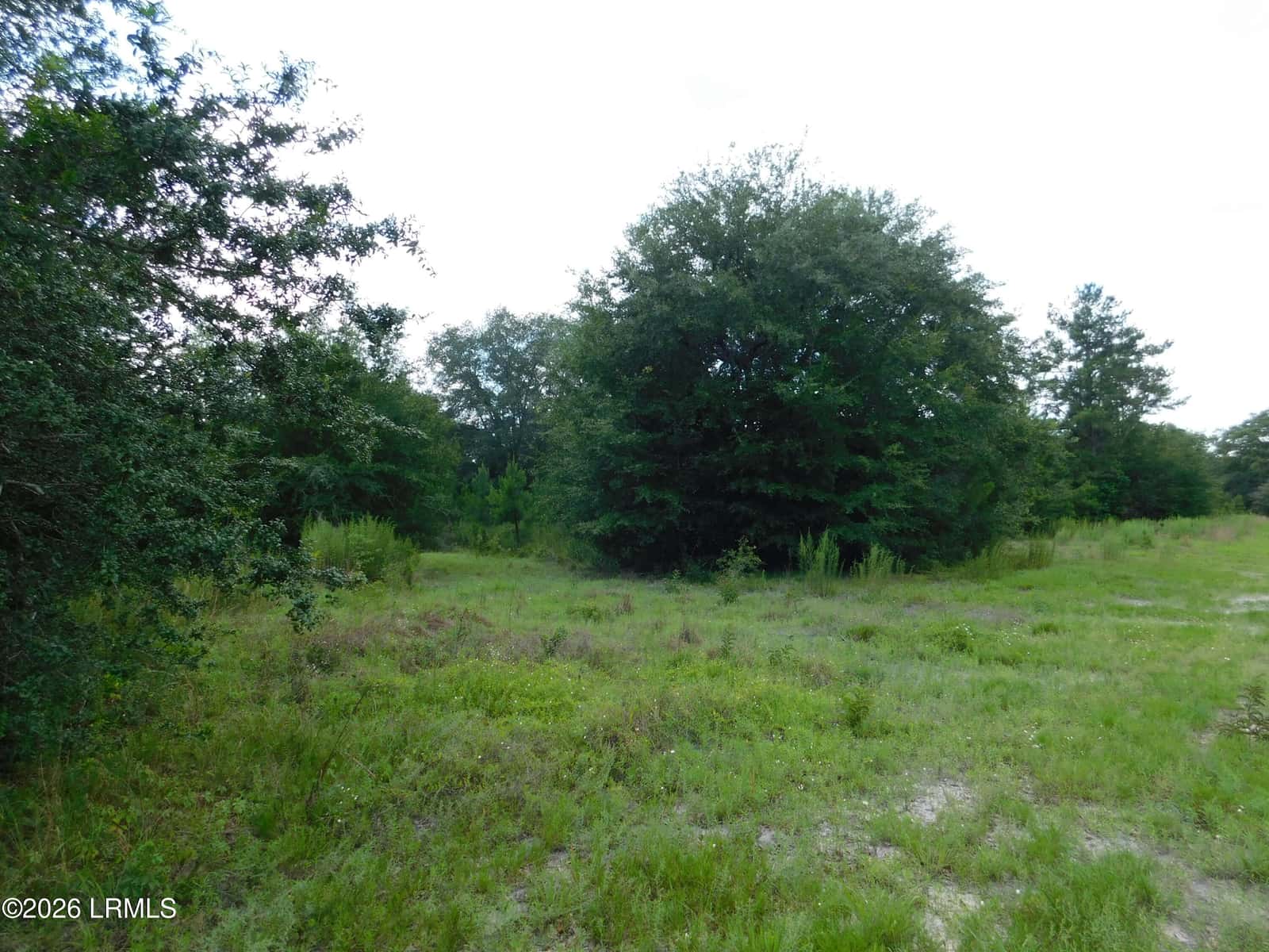 Tbd Gillison Branch Road, Ridgeland, SC 29936 — photo 3 of 17