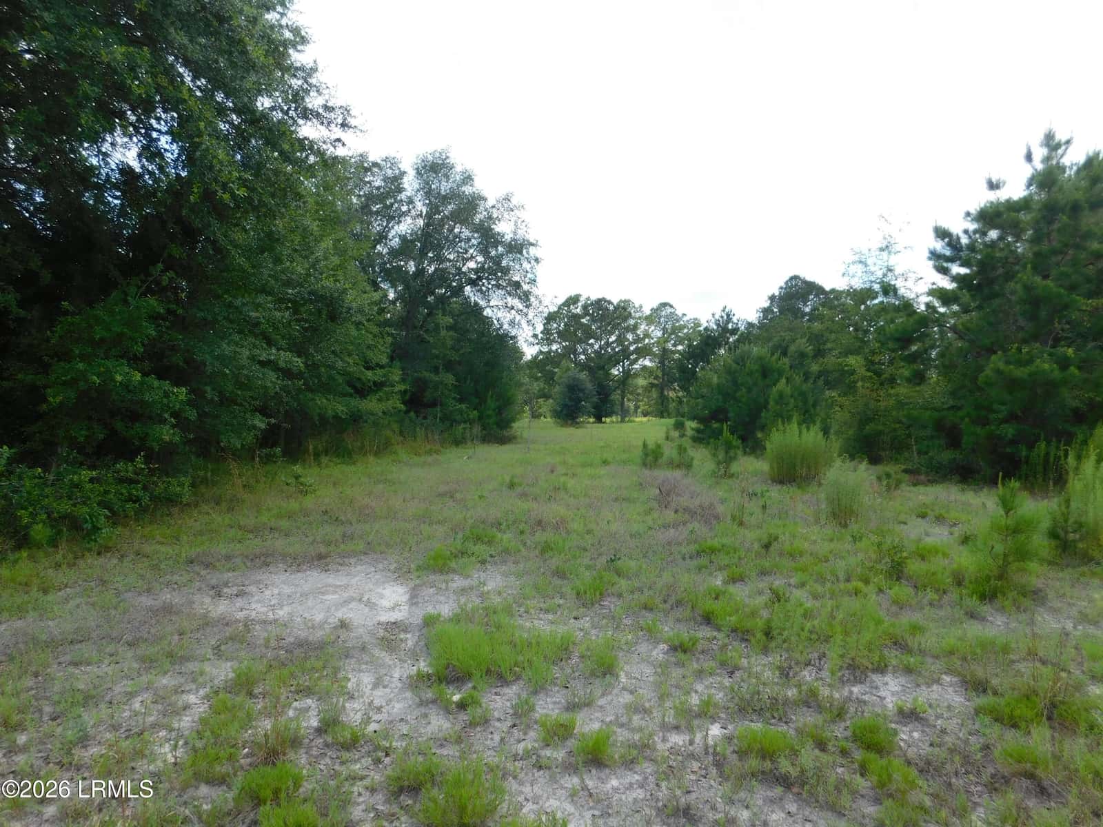 Tbd Gillison Branch Road, Ridgeland, SC 29936 — photo 9 of 17