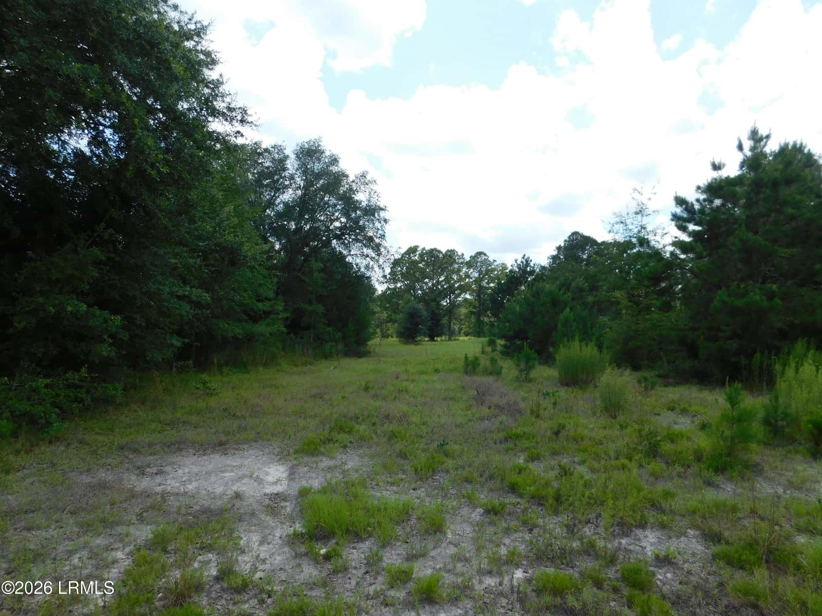 Tbd Gillison Branch Road, Ridgeland, SC 29936 — photo 10 of 17