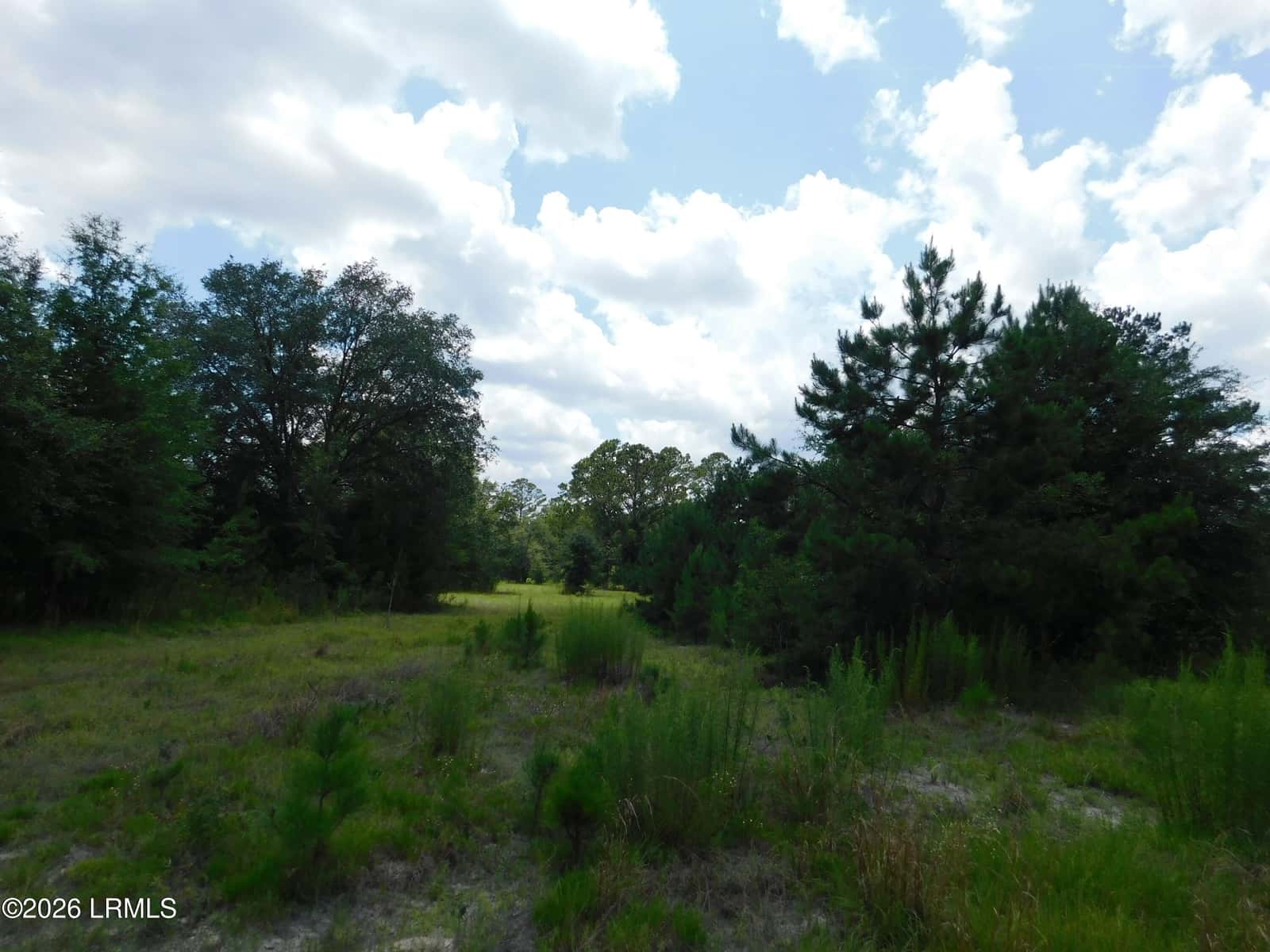 Tbd Gillison Branch Road, Ridgeland, SC 29936 — photo 11 of 17