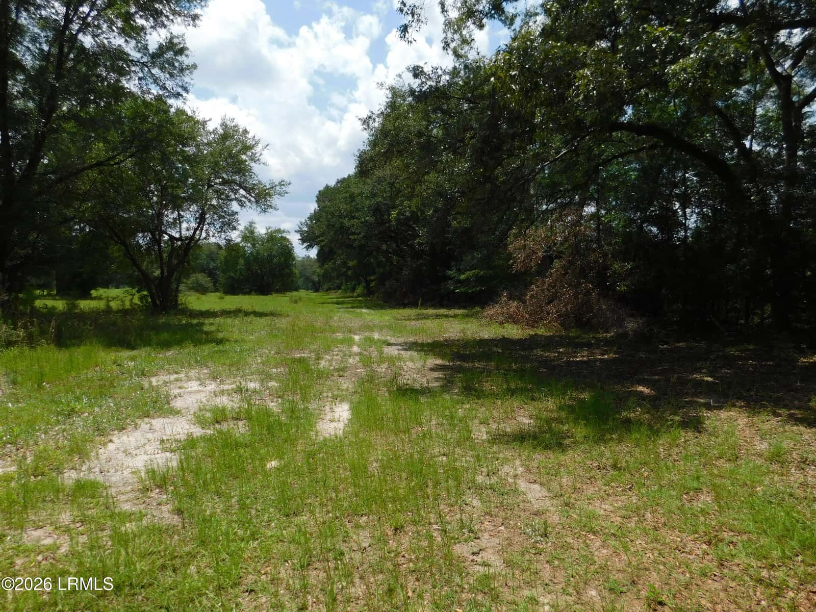 Tbd Gillison Branch Road, Ridgeland, SC 29936 — photo 4 of 17