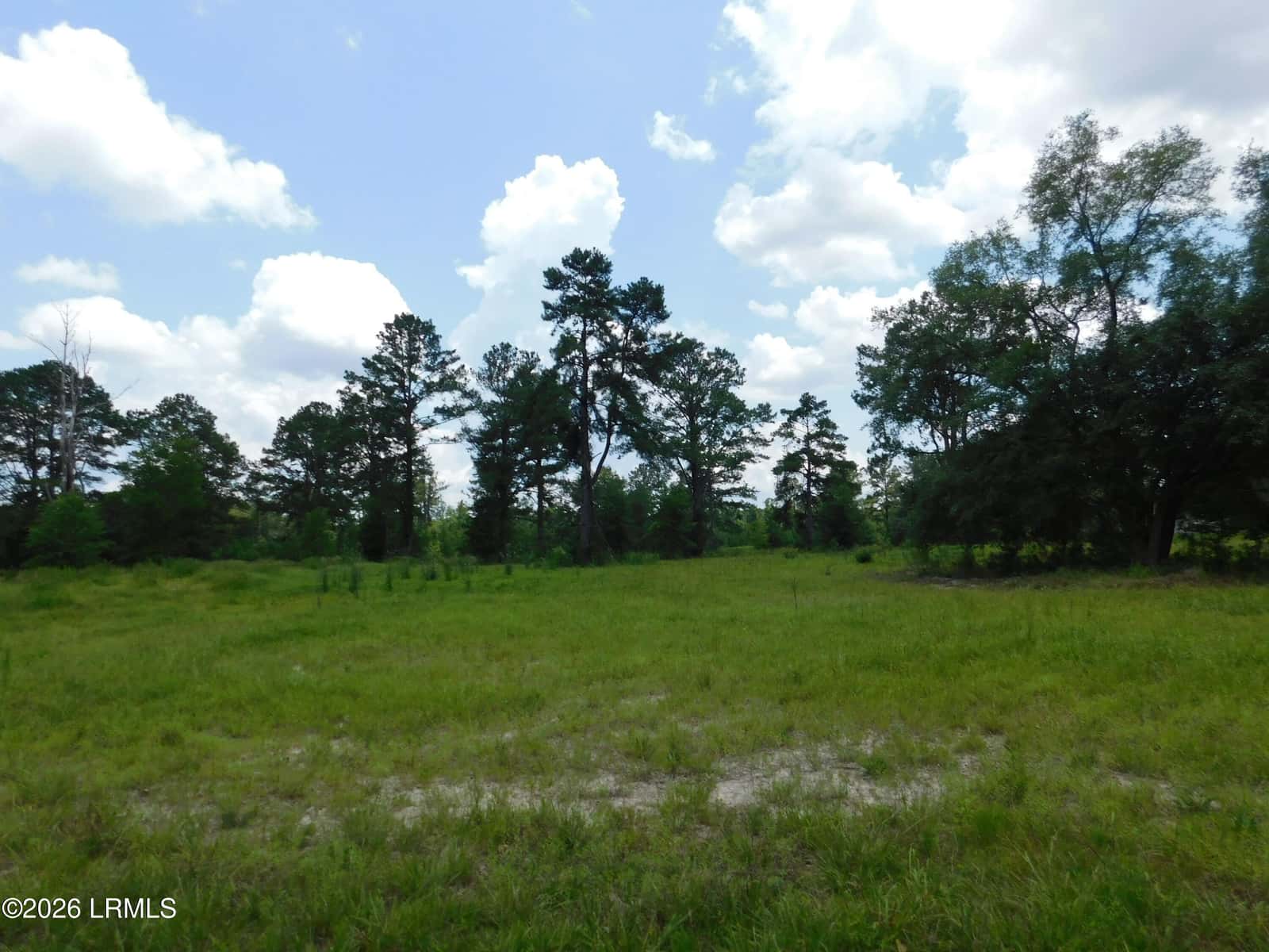 Tbd Gillison Branch Road, Ridgeland, SC 29936 — photo 13 of 17