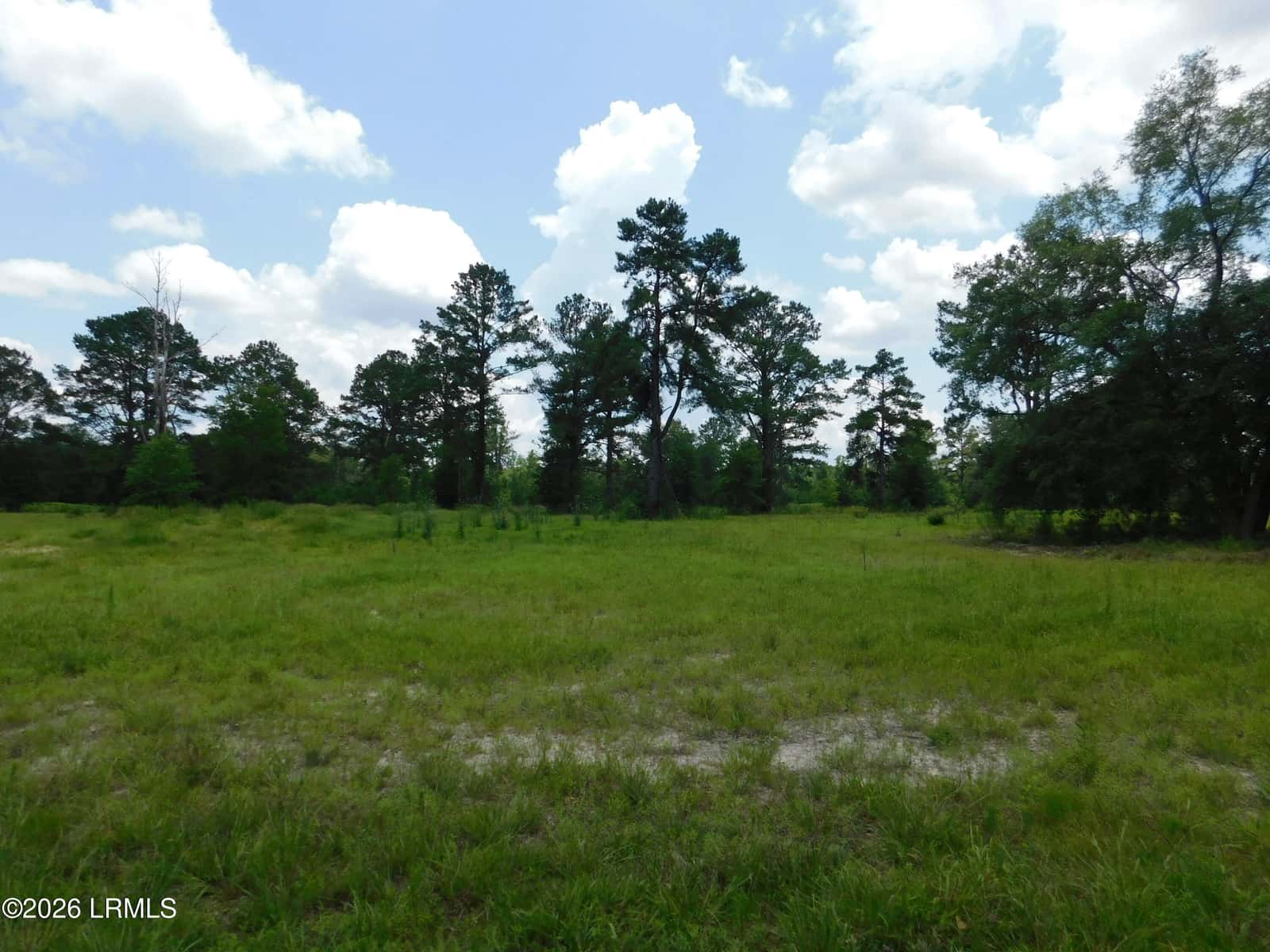 Tbd Gillison Branch Road, Ridgeland, SC 29936 — photo 14 of 17