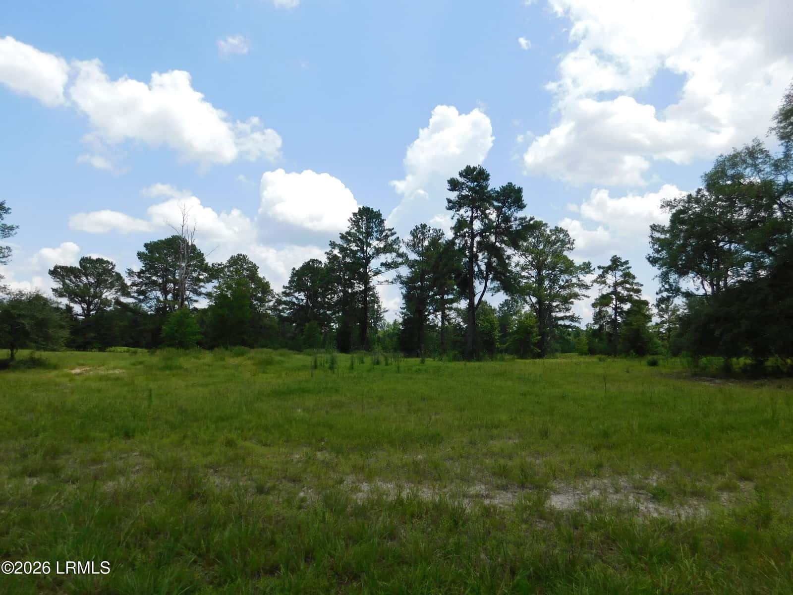 Tbd Gillison Branch Road, Ridgeland, SC 29936 — photo 15 of 17