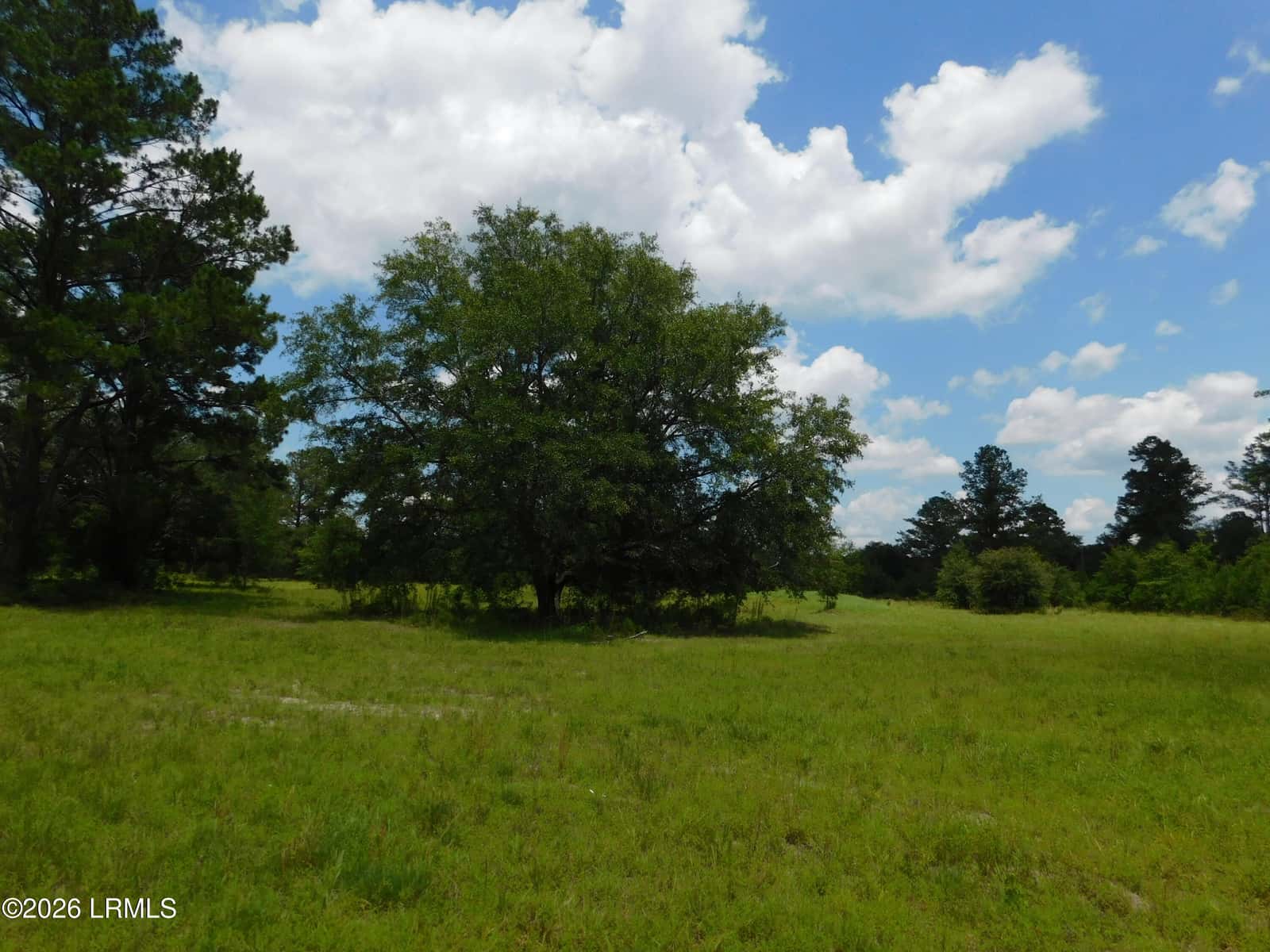 Tbd Gillison Branch Road, Ridgeland, SC 29936 — photo 16 of 17