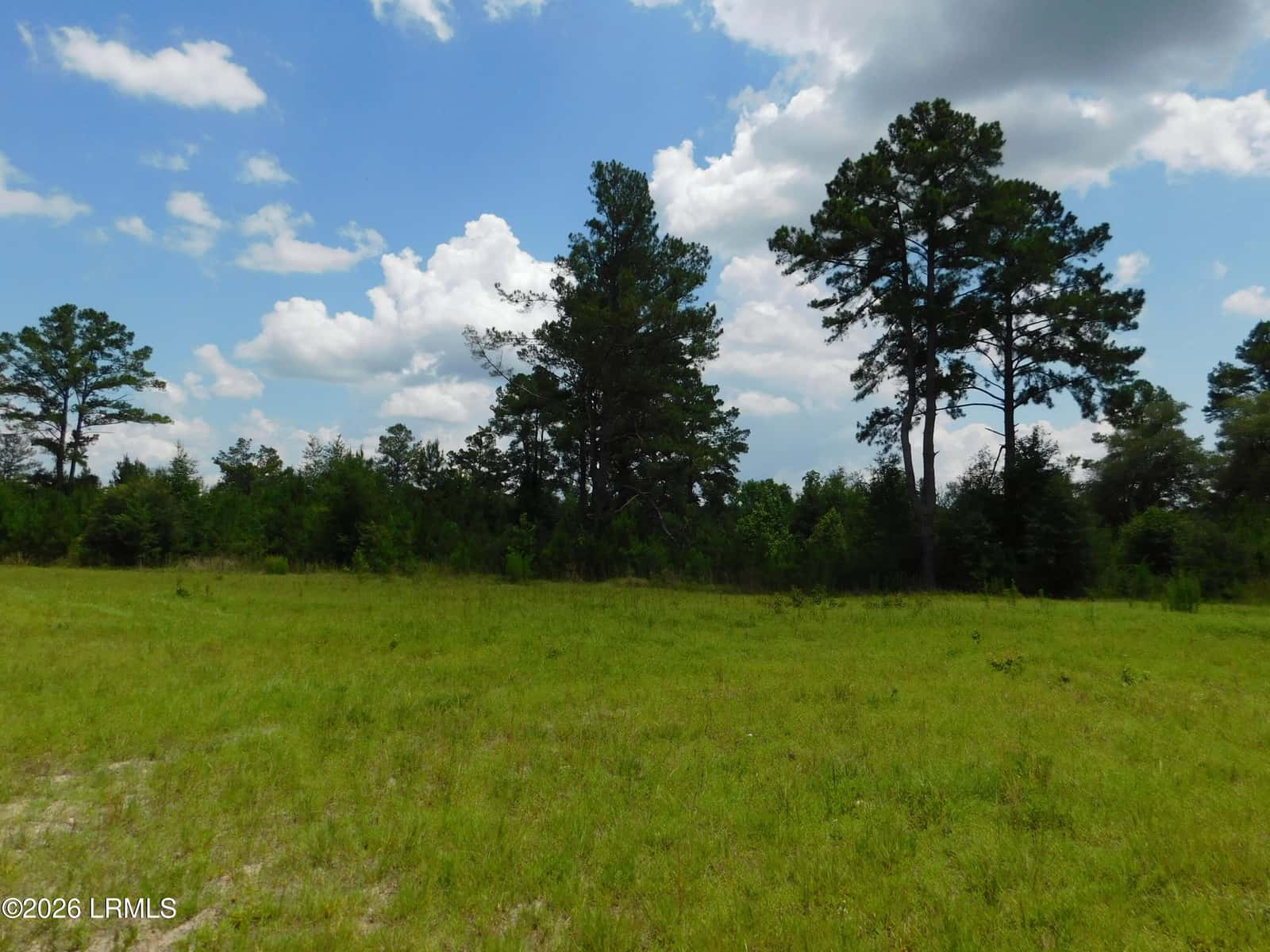 Tbd Gillison Branch Road, Ridgeland, SC 29936 — photo 6 of 17