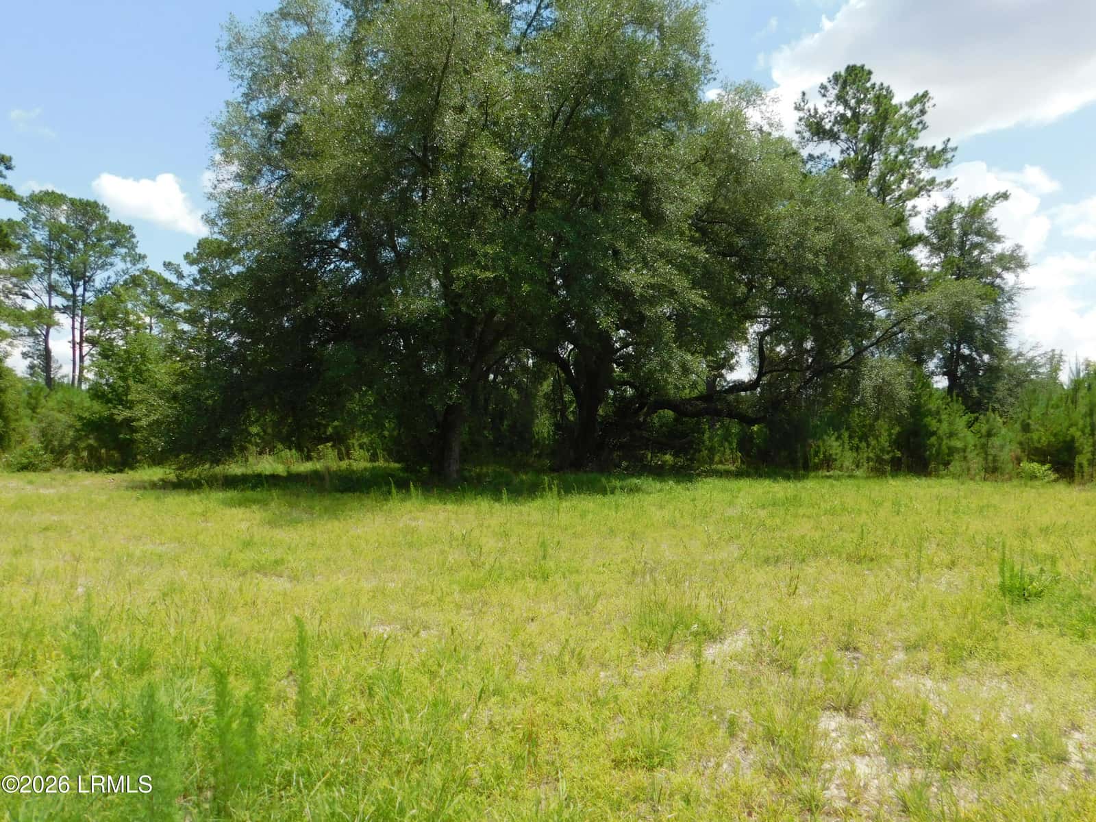 Tbd Gillison Branch Road, Ridgeland, SC 29936 — photo 7 of 17