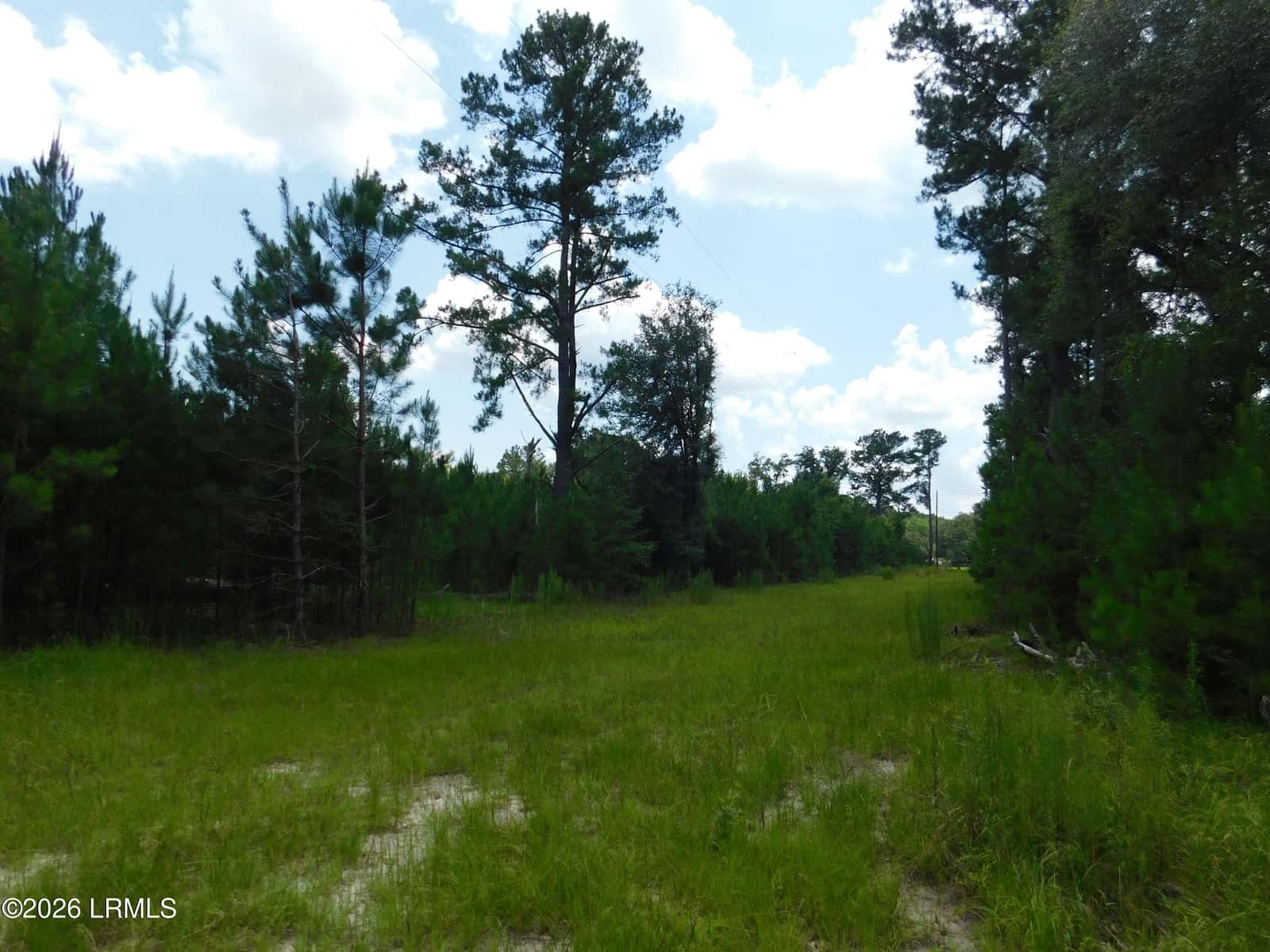 Tbd Gillison Branch Road, Ridgeland, SC 29936 — photo 8 of 17